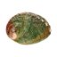Mušle Abalone pro vykuřování, střední 8x6 cm